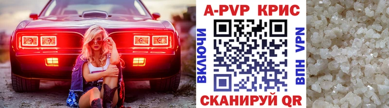 Альфа ПВП СК  Махачкала 