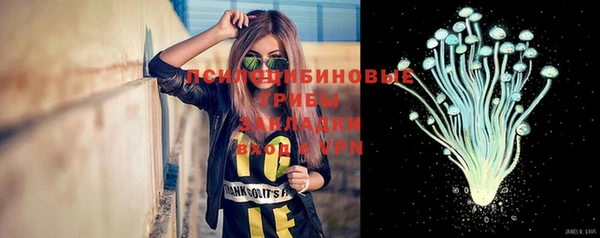 а пвп мука Богданович
