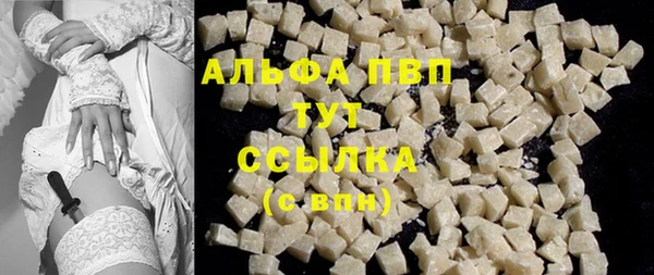 стафф Бородино