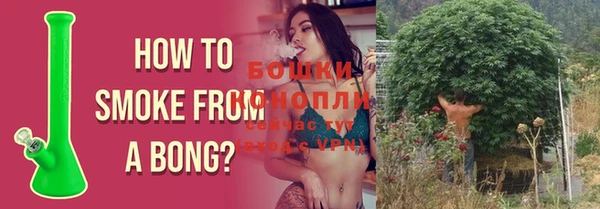 ECSTASY Бугульма